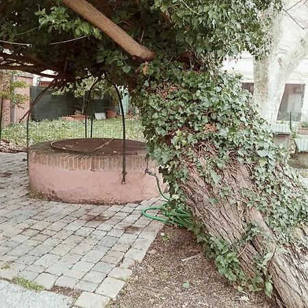 Dimora Del Conte 住宿加早餐酒店 *